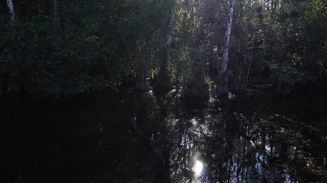 The sunlight is reflected on the water's surface with the trees; it is truly a scene of splendor. In the background, it is the many trees with greenery.