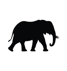 Fototapeta premium Black silhouette of a walking elephant on white background vector illustration EPS PNG file