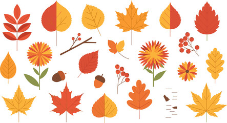  Autumn leaves, flowers, berries, acorns, and twigs in warm seasonal colors, fall foliage decoration design, flat vector illustration © Roman