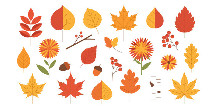  Autumn leaves, flowers, berries, acorns, and twigs in warm seasonal colors, fall foliage decoration design, flat vector illustration