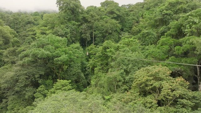 Aerial drone view of a woman riding a zipline above dense tropical rainforest canopy, enjoying adventure tourism and outdoor activity in vibrant green jungle landscape.
