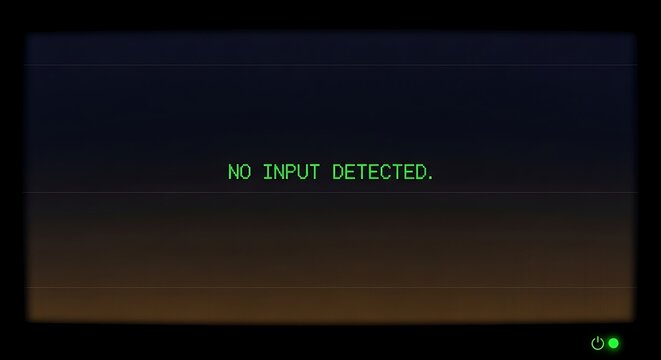 No input detected screen on dark background with blinking cursor.