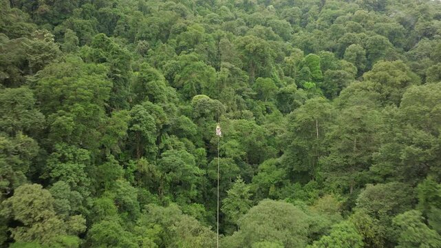 Aerial view of a woman descending on a zipline above dense tropical rainforest canopy, adventure tourism activity in lush green jungle landscape during daytime.