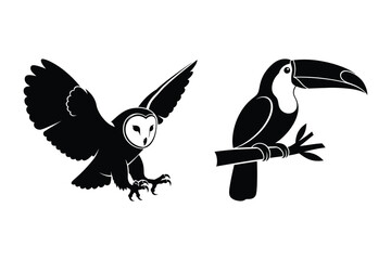 Fototapeta premium Silhouette of flying owl and toucan on branch vector