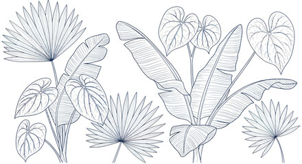 Exotic Tropical Leaves Botanical Illustration, Line Art, White Background © Salon