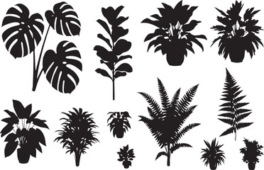 Fototapeta premium Collection of tropical plant silhouettes in black and white