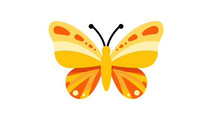 Vibrant yellow and orange butterfly with detailed wing patterns, isolated on transparent background for nature-themed designs and springtime concepts © Bogdan