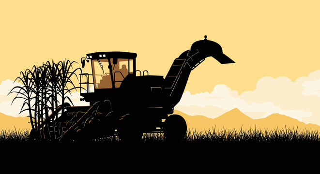 Combine harvester silhouette harvesting corn at sunset on rural landscape