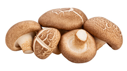 Pile of fresh shiitake mushrooms displaying varied sizes and textures, isolated on transparent background for culinary and health-related designs © Bogdan