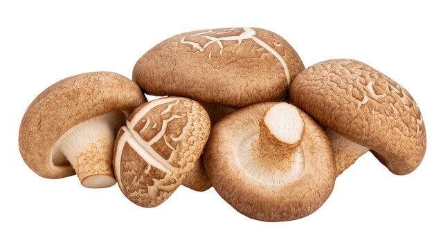 Pile of fresh shiitake mushrooms displaying varied sizes and textures, isolated on transparent background for culinary and health-related designs