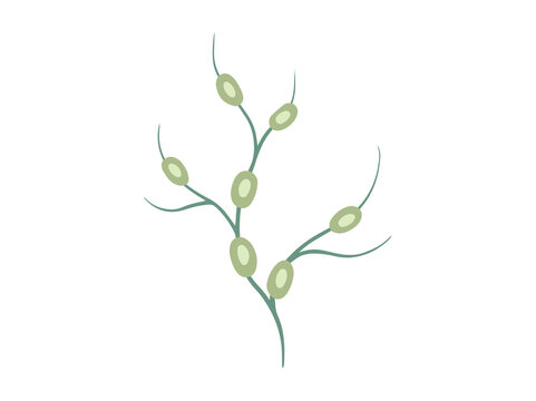 Hand Drawn Swollen Lymph Nodes