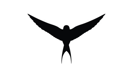 A striking silhouette of a bird in full flight with wings outstretched © Mithon