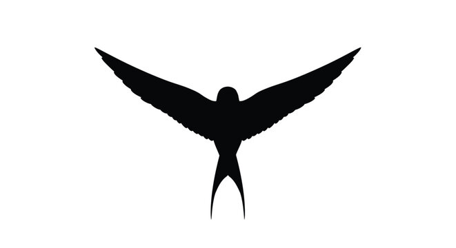 A striking silhouette of a bird in full flight with wings outstretched
