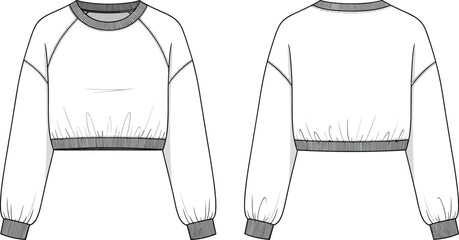 Women's Fashion Raglan Sleeve Cropped Sweatshirt Vector Technical Flat Sketch with Ribbed Crew Neckline and Elasticated Waistband Apparel Design Template © BIPUL
