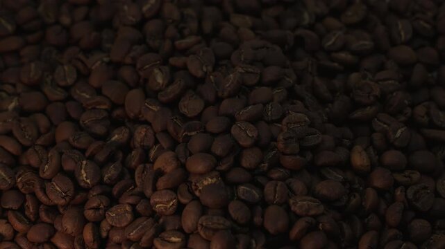 Golden light rises over a pile of coffee beans