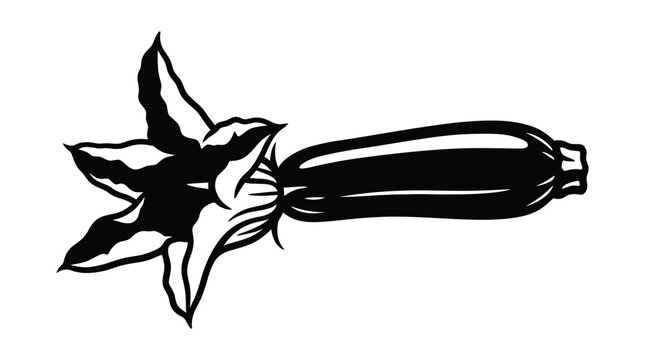 Zucchini squash with flower illustration summer vegetable healthy food