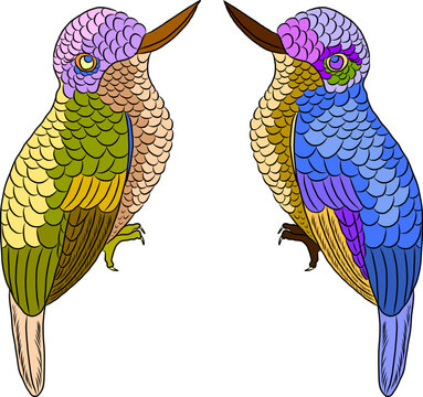 Colorful Symmetrical Hummingbird Illustration with Decorative Feather Pattern