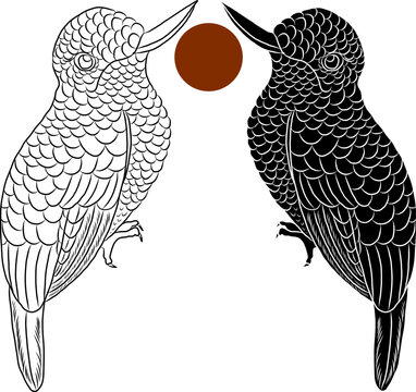 Colorful Symmetrical Hummingbird Illustration with Decorative Feather Pattern