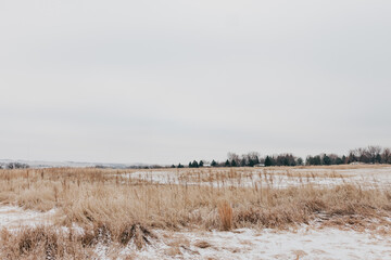 Naklejka premium Snow covered path winds through golden grassy field on Winter morning