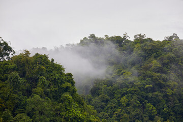 Fototapeta premium Lush Green Mountain Peak Shrouded in Morning Mist