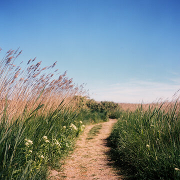 Narrow dirt path winding through tall grass in Snape UK