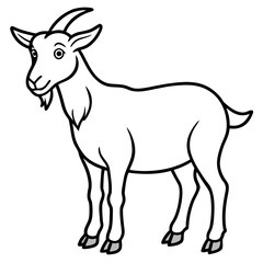 Fototapeta premium goat isolated on white