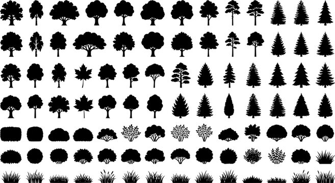 set of bush grass shrub herb silhouette vector transparent background
