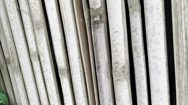 Old Bamboo Wall Construction in Rural Area