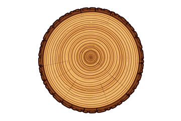 Fototapeta premium Cross section of tree trunk with detailed annual rings for growth and nature study