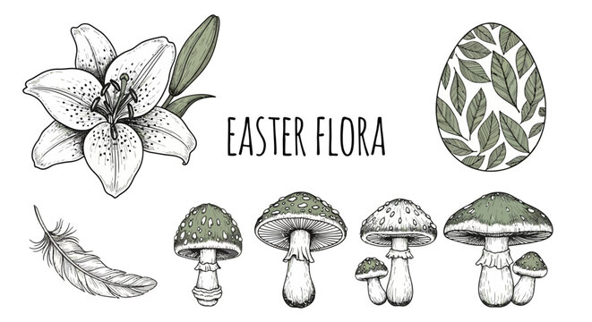 Easter-themed illustration featuring various flora and mushrooms in a stylized design