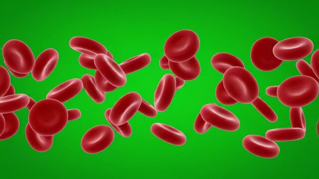 Red Blood Cells Flowing on Green Screen Medical Background