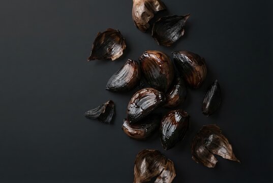 Elegant monochromatic arrangement of glossy black clam shells illuminated on a dark backdrop showcasing intricate textures and organic forms evoking minimalist sophistication