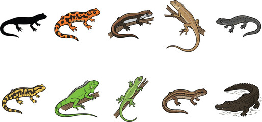 Fototapeta premium Set of 9 Lizard, Salamander, and Alligator Icons with Colorful and Black Variants for Animal, Reptile, and Nature Illustrations