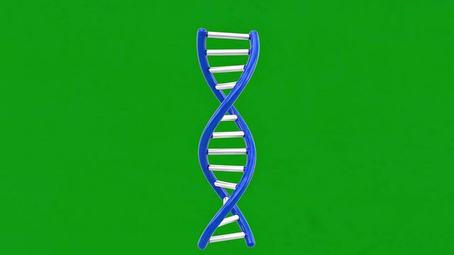 3D DNA Helix Model Rotating on Green Screen Background.