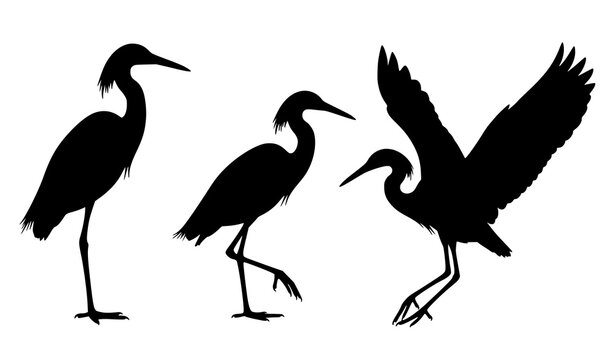 Snowy egret silhouette vector clip art set with multiple bird poses