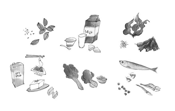 カルシウムを含む食材の手描きイラスト
