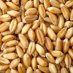 Fototapeta premium Close-up of pile of wheat grains, warm beige color