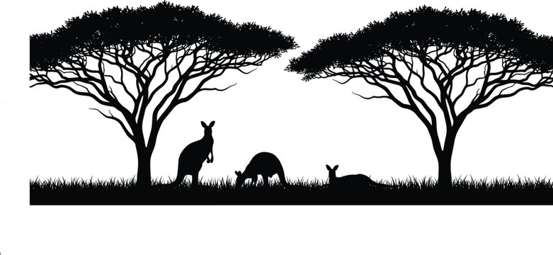 Savanna wildlife silhouette featuring acacia trees and kangaroos grazing resting vector illustration nature landscape minimal black background design