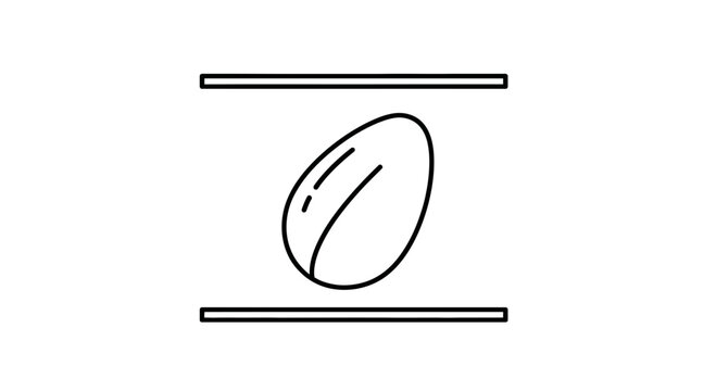 Abstract minimalist icon of a single almond nut between two parallel lines