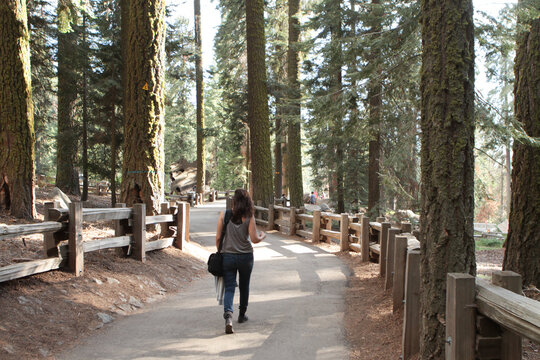 Woman walking in Sequoia National Park towards General Sherman