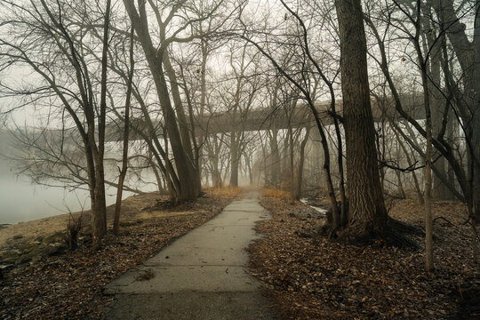 Foggy walking path along river surrounded by bare trees.