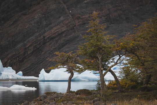 Ice details at Cerro Torre lagoon