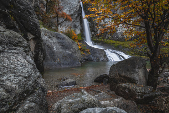 Autumn forest surroundings of El Chalt&eacute;n