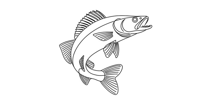 Black and white line art illustration of a walleye fish jumping out of the water.