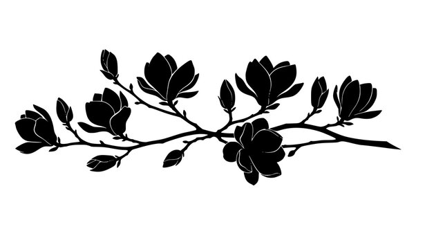 Magnolia branch silhouette with flowers and buds elegant floral vector illustration isolated on white background