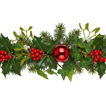 Holiday Holly & Festive Red