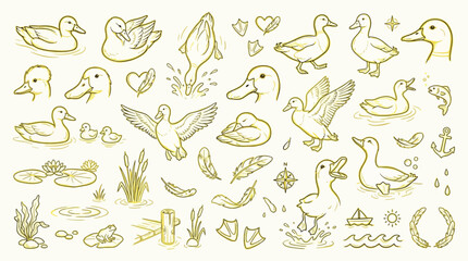 Fototapeta premium A charming collection of hand-drawn duck illustrations, featuring various poses, ducklings, water elements, and natural details.