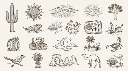A collection of hand-drawn illustrations depicting various elements of a desert environment, including flora, fauna, and geological features. © KN collection
