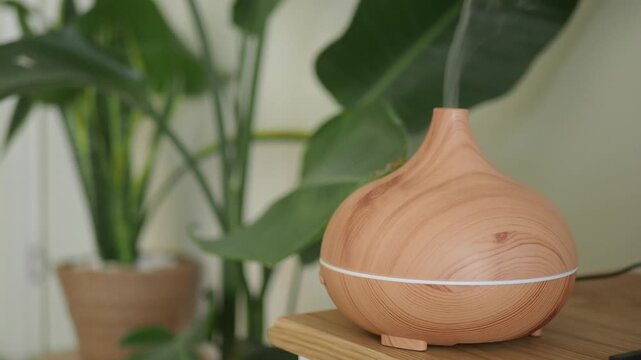 Essential oil diffuser and plants in a bright room