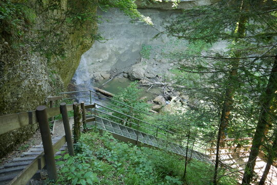 Treppe am Wanderweg im Wald am Scheidegger Wasserfall